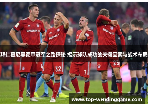 拜仁慕尼黑德甲冠军之路探秘 揭示球队成功的关键因素与战术布局