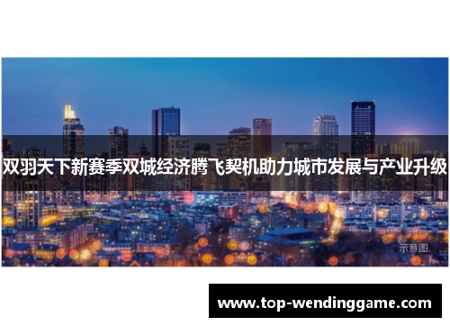 双羽天下新赛季双城经济腾飞契机助力城市发展与产业升级