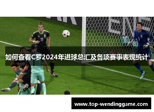 如何查看C罗2024年进球总汇及各项赛事表现统计