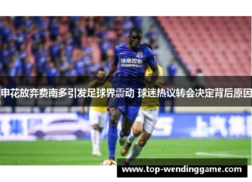 申花放弃费南多引发足球界震动 球迷热议转会决定背后原因