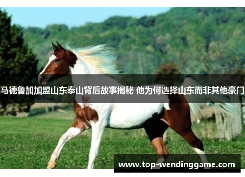 马德鲁加加盟山东泰山背后故事揭秘 他为何选择山东而非其他豪门