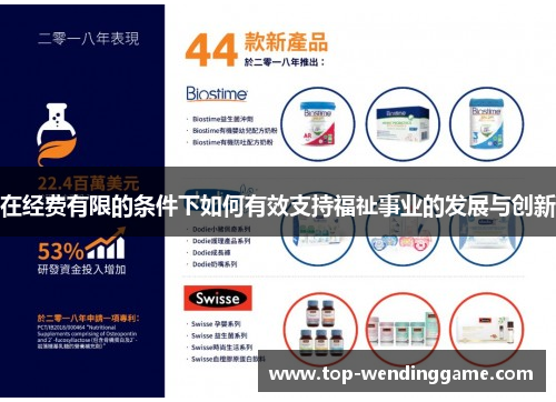 在经费有限的条件下如何有效支持福祉事业的发展与创新