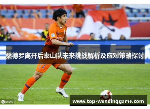桑德罗离开后泰山队未来挑战解析及应对策略探讨