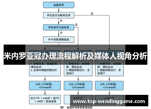 米内罗亚冠办理流程解析及媒体人视角分析