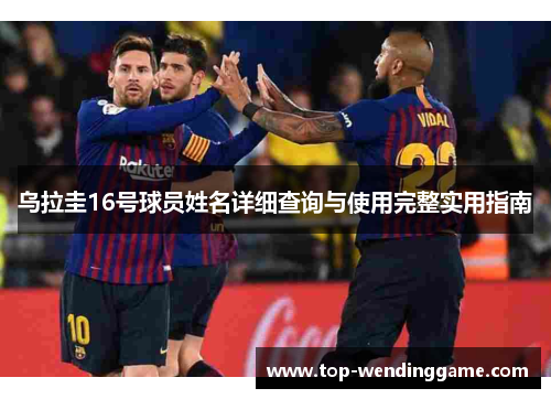 乌拉圭16号球员姓名详细查询与使用完整实用指南